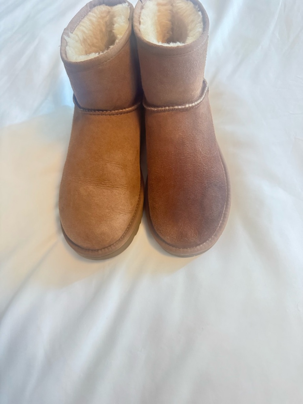 UGG Classic Short Boots in Chestnut